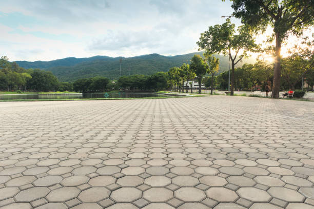 Best Driveway Pavers Installation  in Birch Run, MI